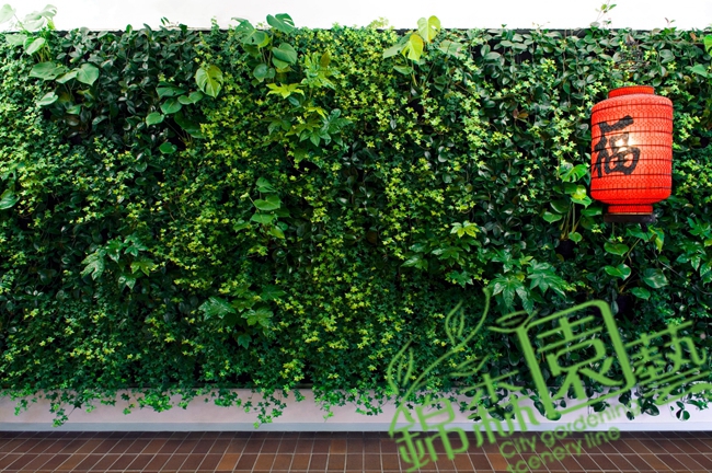 绿化植物墙的那些事